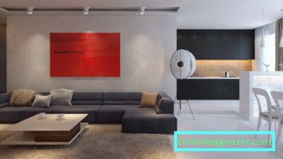 Notranja dnevna soba ekonomski razred v sodobnem slogu fotografije